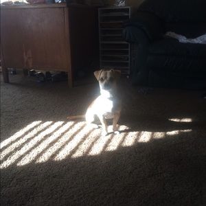 Meet your Posher, Stephen